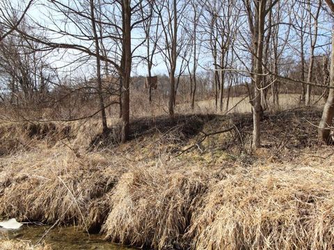 Tiny photo for Mt. Carroll, IL 61053 (MLS # 12560577)