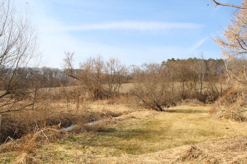 Tiny photo for Mt. Carroll, IL 61053 (MLS # 12560577)