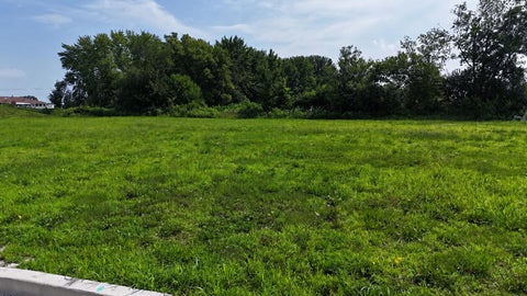 MLS: 12562484