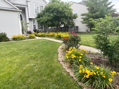 Tiny photo for 12901 Norwich Street, Plainfield, IL 60585 (MLS # 12730338)