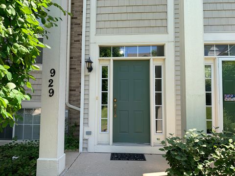 929 Summit Creek Drive 929 Shorewood IL 60404