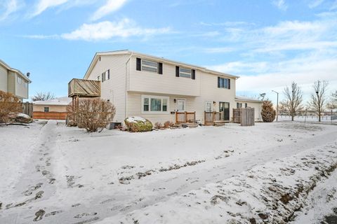 Tiny photo for 1113 Gael Drive #B, Joliet, IL 60435 (MLS # 12602475)