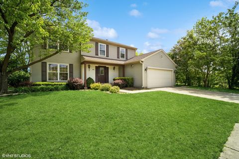 846 Dunhill Drive Buffalo Grove IL 60089