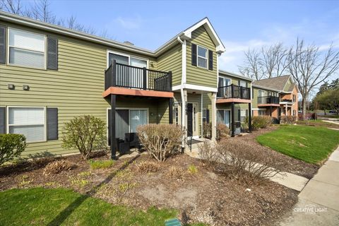 Photo of 1565 Raymond Drive #201, Naperville, IL 60563 (MLS # 12583272)