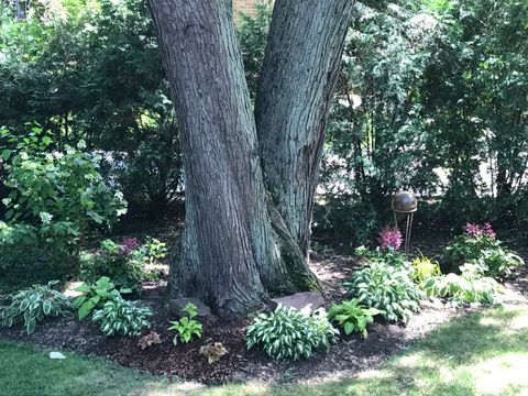 Tiny photo for 31 Roosevelt Street, St. Charles, IL 60174 (MLS # 12585923)