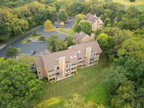 Tiny photo for B10 Long Bay Point Drive #B10, Galena, IL 61036 (MLS # 12465024)