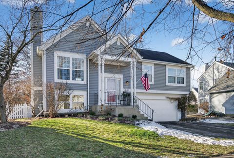 Photo of 251 Arlington Lane, Grayslake, IL 60030 (MLS # 12536571)