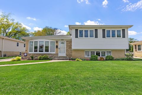 806 S Deborah Lane Mount Prospect IL 60056