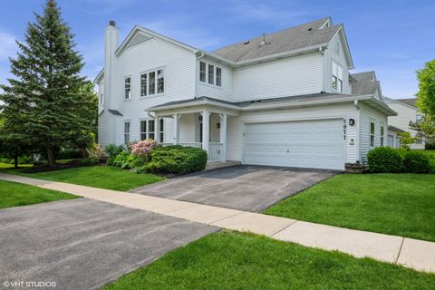 2877 Falling Waters Lane 2877 Lindenhurst IL 60046