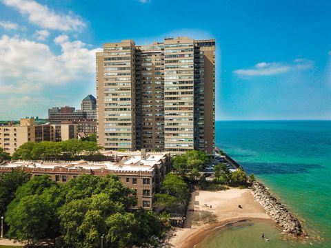 6301 N Sheridan Road 14E Chicago IL 60660