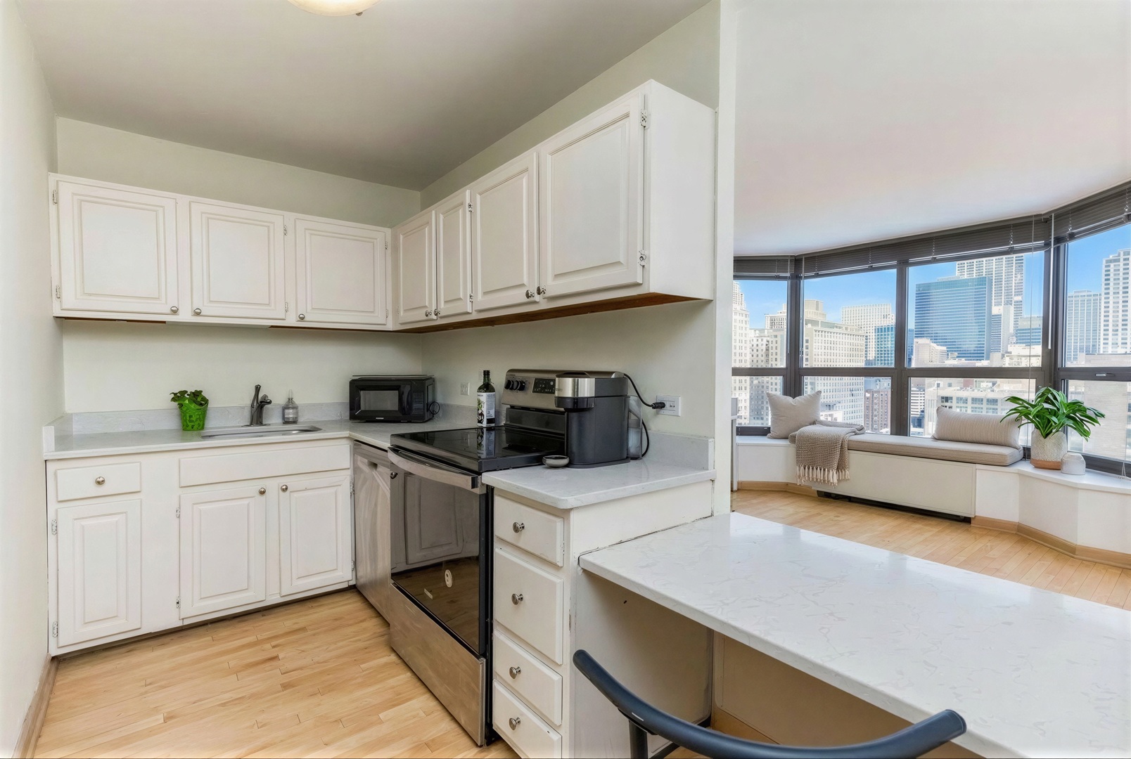 899 S Plymouth Court 2010