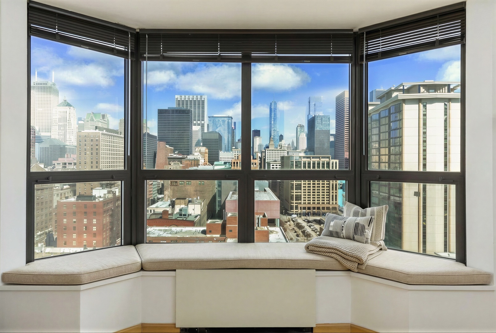 899 S Plymouth Court 2010