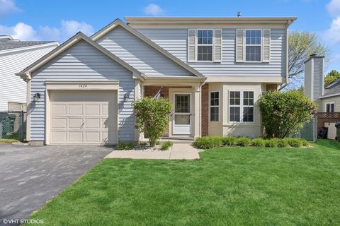 1424 Summerhill Drive Mundelein IL 60060