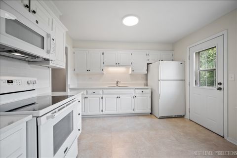 Tiny photo for Woodridge, IL 60517 (MLS # 12510621)