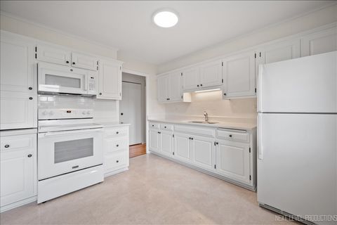 Tiny photo for Woodridge, IL 60517 (MLS # 12510621)