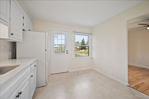 Tiny photo for Woodridge, IL 60517 (MLS # 12510621)