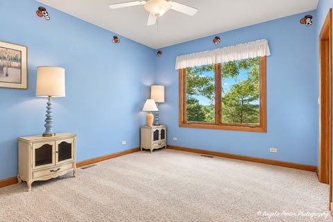 Tiny photo for 2916 HANGING FEN Court, Johnsburg, IL 60050 (MLS # 12773856)