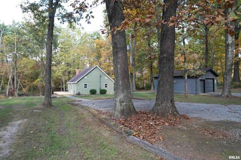 Tiny photo for 1629 Firewood Lane, Centralia, IL 62801 (MLS # EB460531)