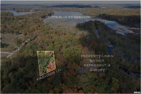 Tiny photo for 1629 Firewood Lane, Centralia, IL 62801 (MLS # EB460531)