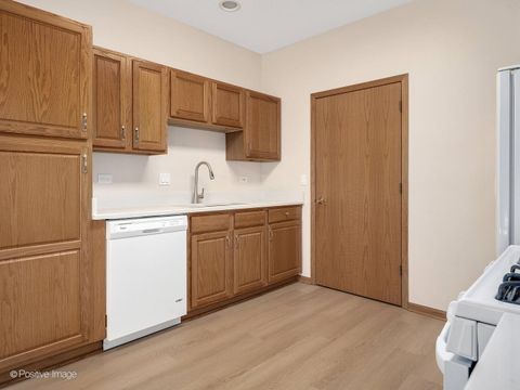 Tiny photo for 21535 W Empress Lane, Plainfield, IL 60544 (MLS # 12485996)