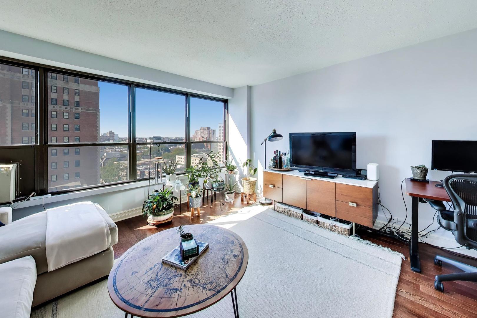 2930 N Sheridan Road 1205