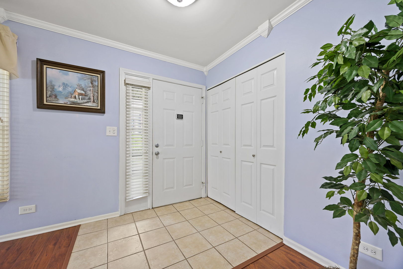 124 White Birch Lane
