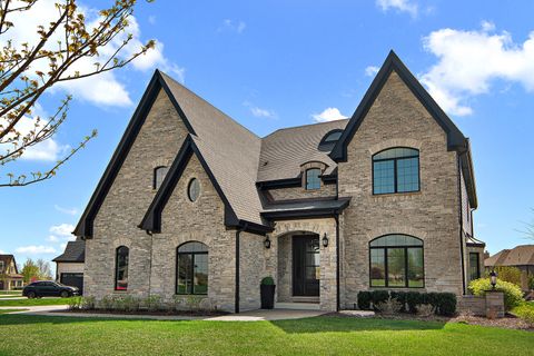 Photo of 11529 Torino Way, Frankfort, IL 60423 (MLS # 12638369)