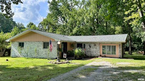 Tiny photo for 909 NORTH Road, West Frankfort, IL 62896 (MLS # EB459066)