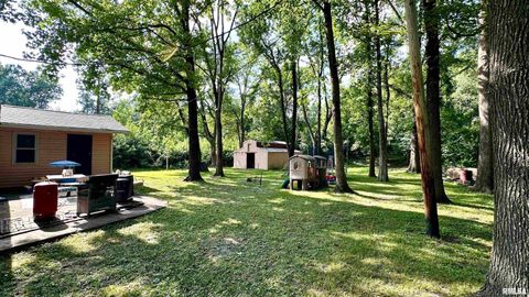Tiny photo for 909 NORTH Road, West Frankfort, IL 62896 (MLS # EB459066)