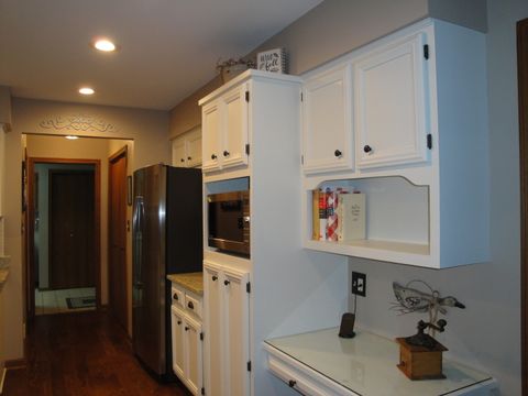 Tiny photo for 119 Pleasant Hill Court, Frankfort, IL 60423 (MLS # 12465266)
