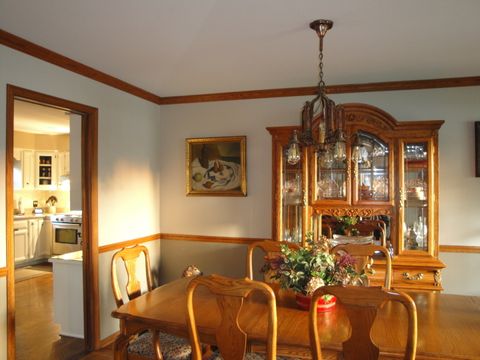 Tiny photo for 119 Pleasant Hill Court, Frankfort, IL 60423 (MLS # 12465266)