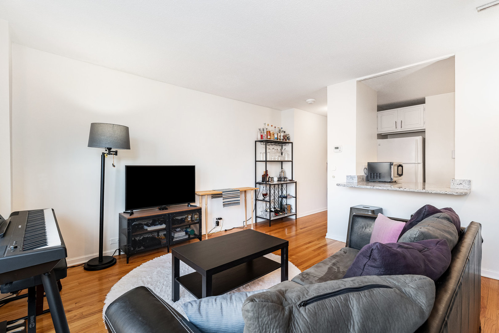 899 S Plymouth Court 310