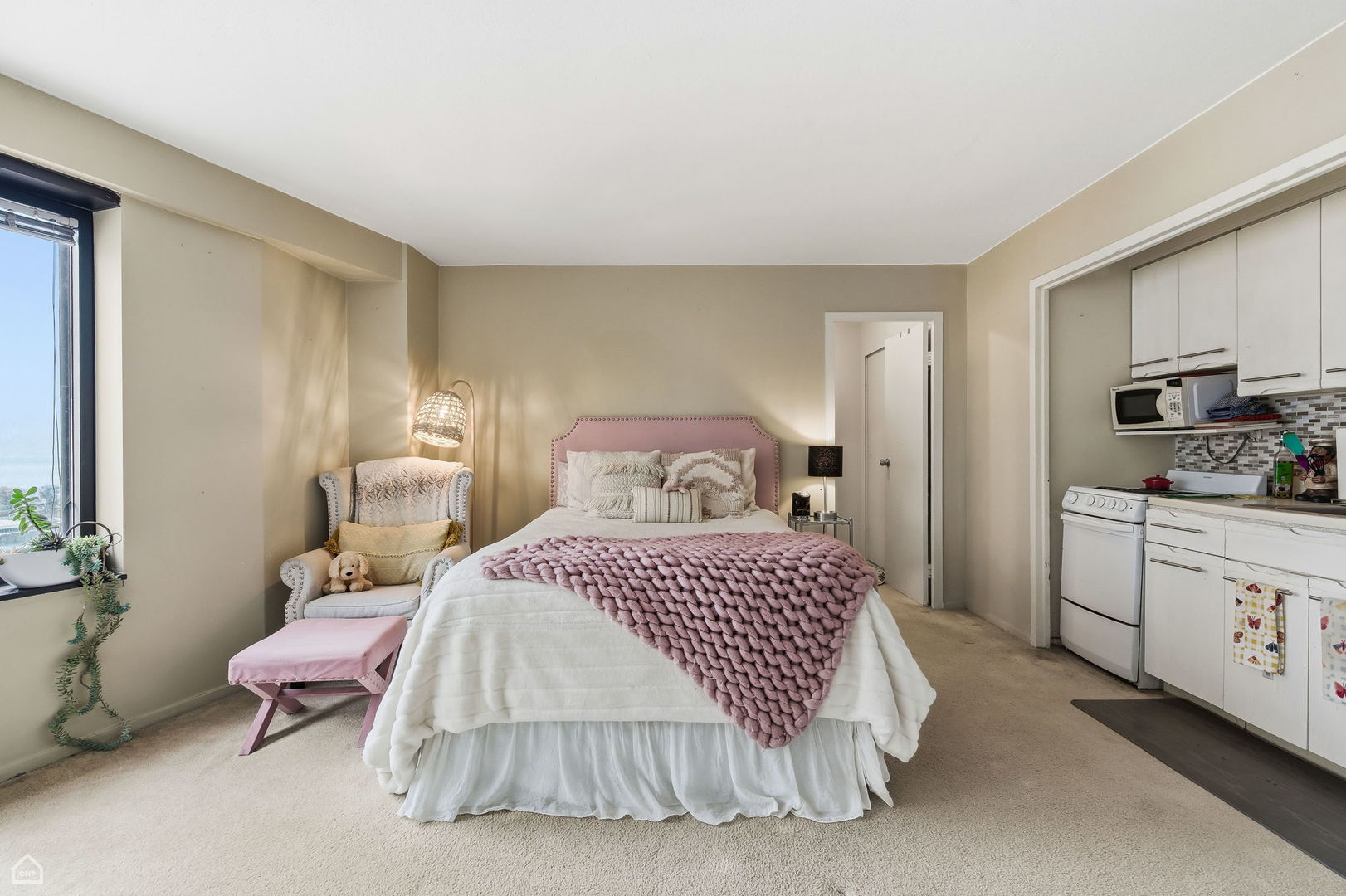 3100 N Lake Shore Drive 1313