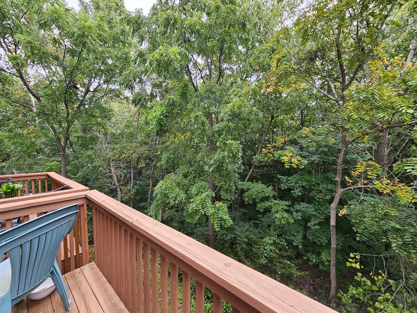 6 Grandview Court