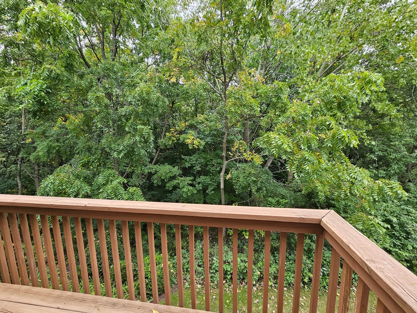 6 Grandview Court