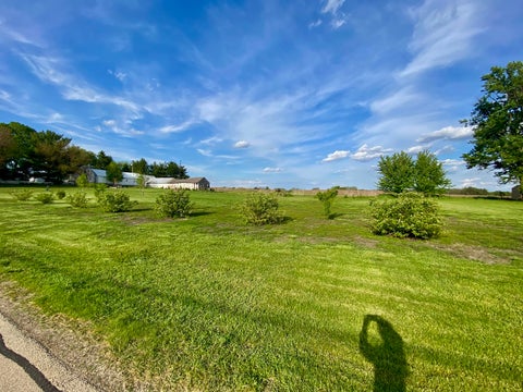 MLS: 12598313