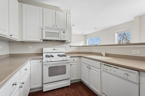 Tiny photo for 3056 Mosedale Street, Elgin, IL 60124 (MLS # 12546875)