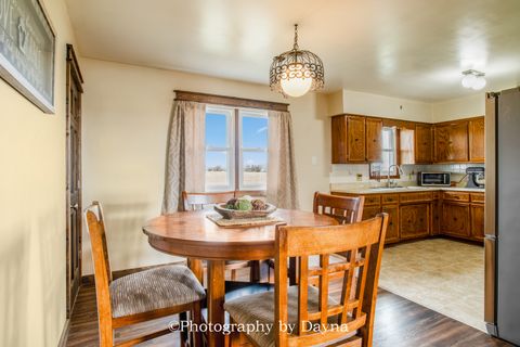 Tiny photo for 7621 E 3000s Road, St. Anne, IL 60964 (MLS # 12604292)