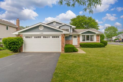 1122 N Cardinal Drive Palatine IL 60074