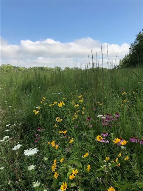 Tiny photo for 1281 E Longwood Drive, Bull Valley, IL 60098 (MLS # 12573310)