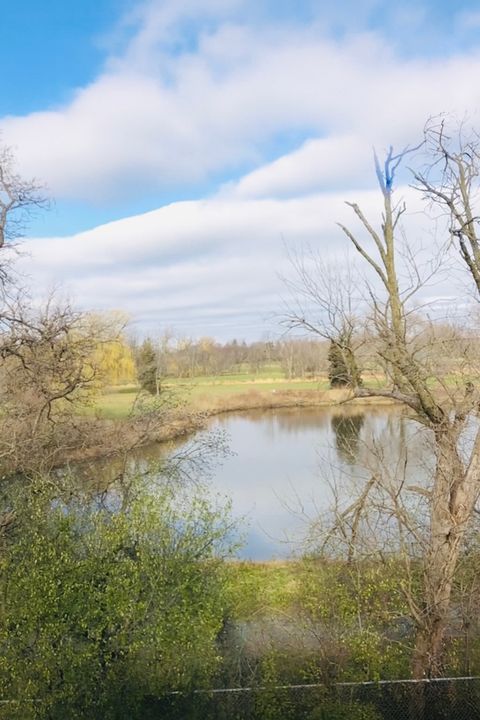 Tiny photo for 1010 Judson Street #2A, Bensenville, IL 60106 (MLS # 12530715)