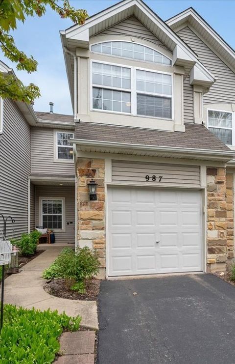 987 Mesa Drive Lake In The Hills IL 60156