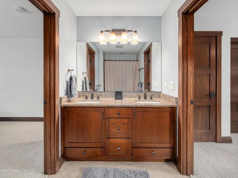 Tiny photo for 456 S Julian Street, Naperville, IL 60540 (MLS # 12385404)
