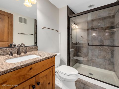 Tiny photo for 456 S Julian Street, Naperville, IL 60540 (MLS # 12385404)