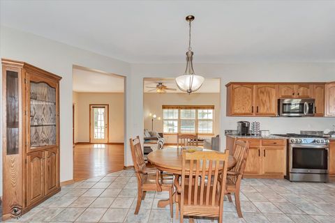 Tiny photo for 8057 W Duane Drive, Frankfort, IL 60423 (MLS # 12563093)