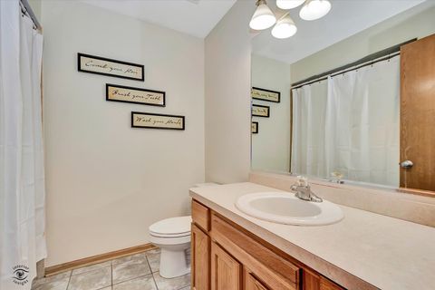 Tiny photo for 8057 W Duane Drive, Frankfort, IL 60423 (MLS # 12563093)