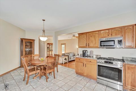 Tiny photo for 8057 W Duane Drive, Frankfort, IL 60423 (MLS # 12563093)