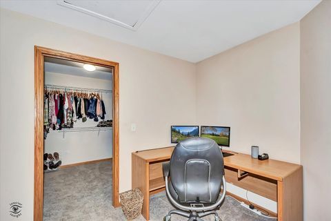 Tiny photo for 8057 W Duane Drive, Frankfort, IL 60423 (MLS # 12563093)