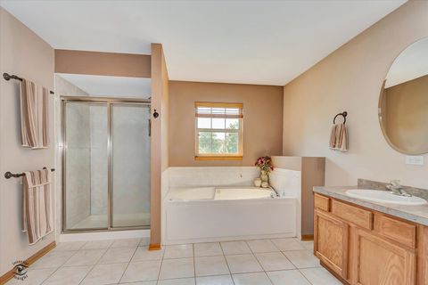 Tiny photo for 8057 W Duane Drive, Frankfort, IL 60423 (MLS # 12563093)