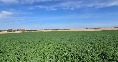 Tiny photo for 3292 E 24th Road, Marseilles, IL 61341 (MLS # 12604115)